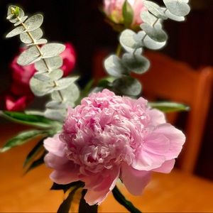 Meet your Posher, Marie-lyne